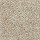 Shaw Floors: Essay II 12' Field Khaki